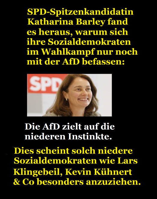 SPD-AfD